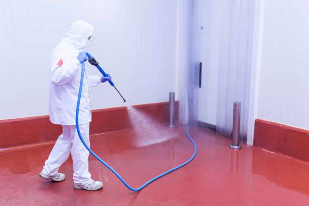 Best Graffiti Removal  in Destin, FL